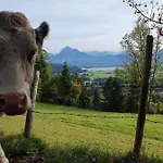 Daire Alpenblick 11, Erholung Pur Im Allgaeu *