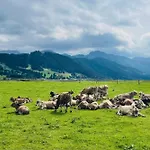 Alpenblick 11, Erholung Pur Im Allgaeu Daire