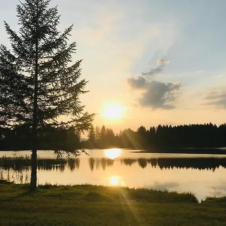 Alpenblick 11, Im Allgaeu, Bergblick Pur - Neueroeffnung! *