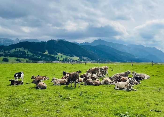 Alpenblick 11, Im Allgaeu, Bergblick Pur - Neueroeffnung! Apartamento